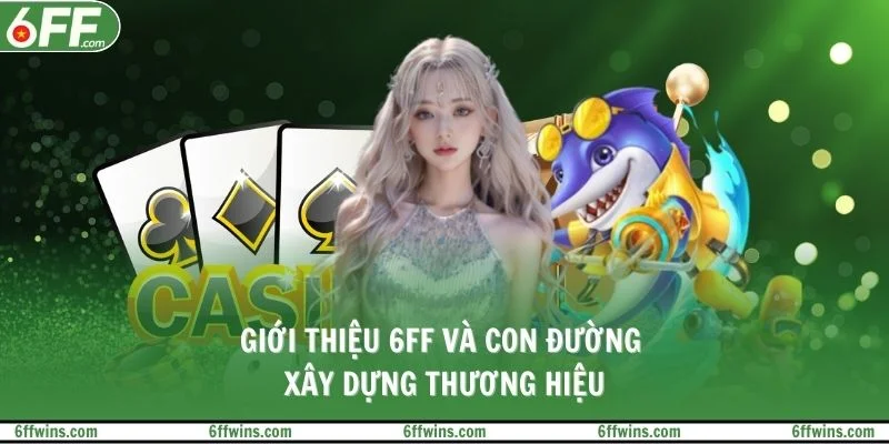 Giới thiệu 6FF và con đường xây dựng thương hiệu