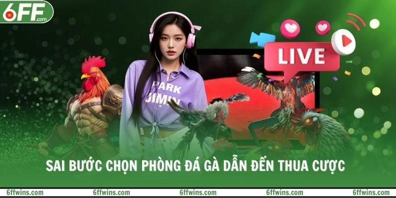 Sai bước chọn phòng đá gà dẫn đến thua cược